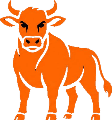 OrangeCow bull